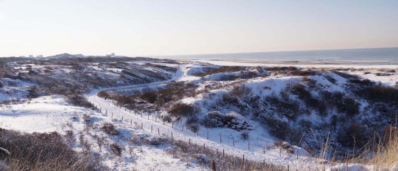 Dunes & Sea At Kijkduin Haag Exteriör bild